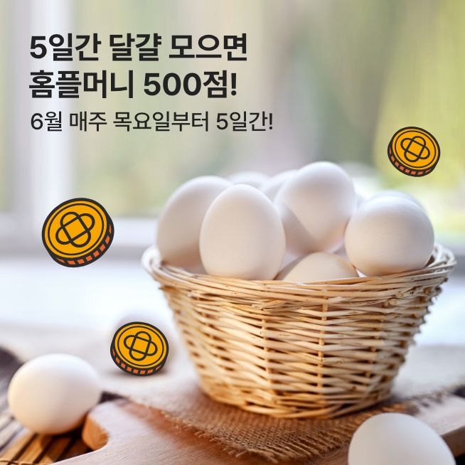 [6월] 5일간 달걀 모으기_3주차_M