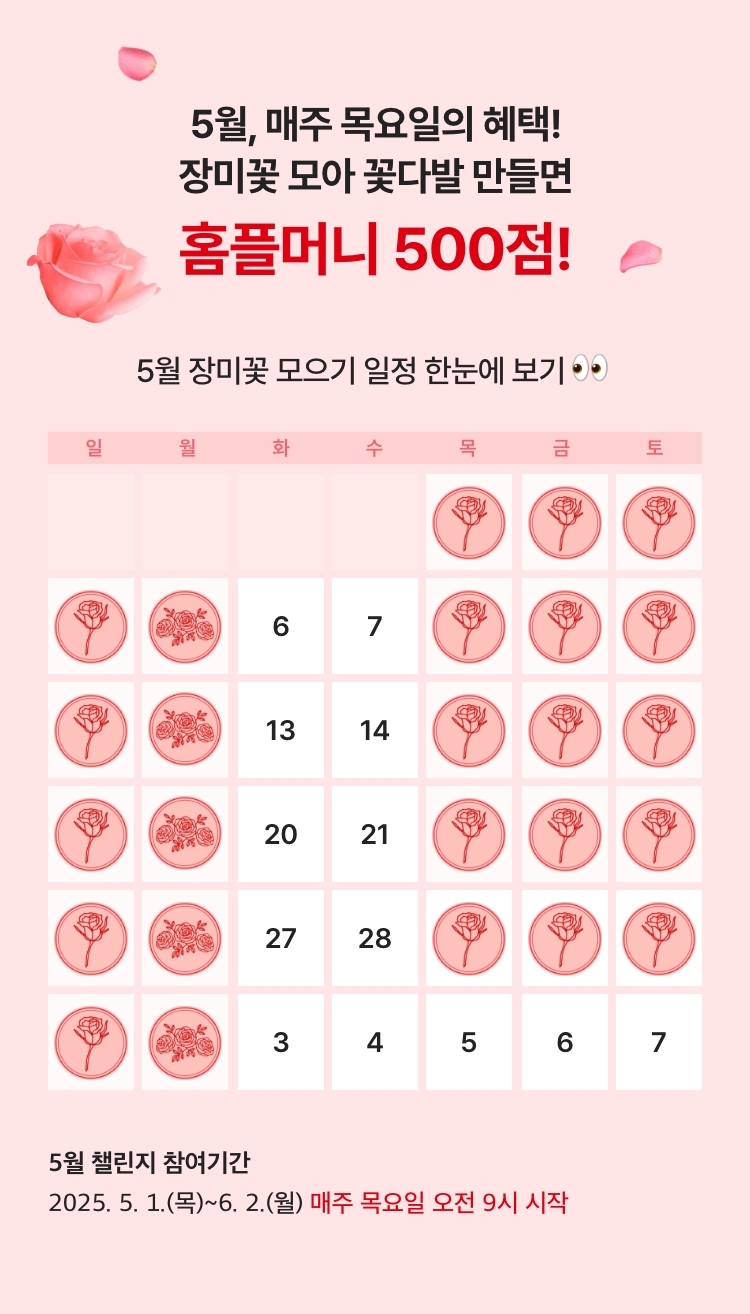 5일간 장미꽃 모으기