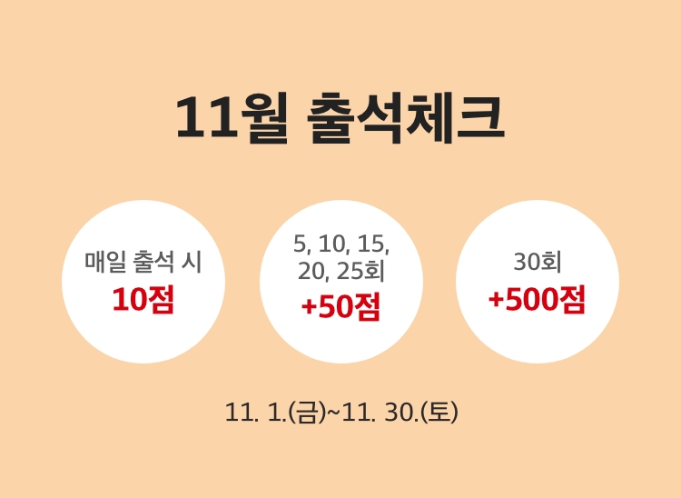 11월 출석체크!