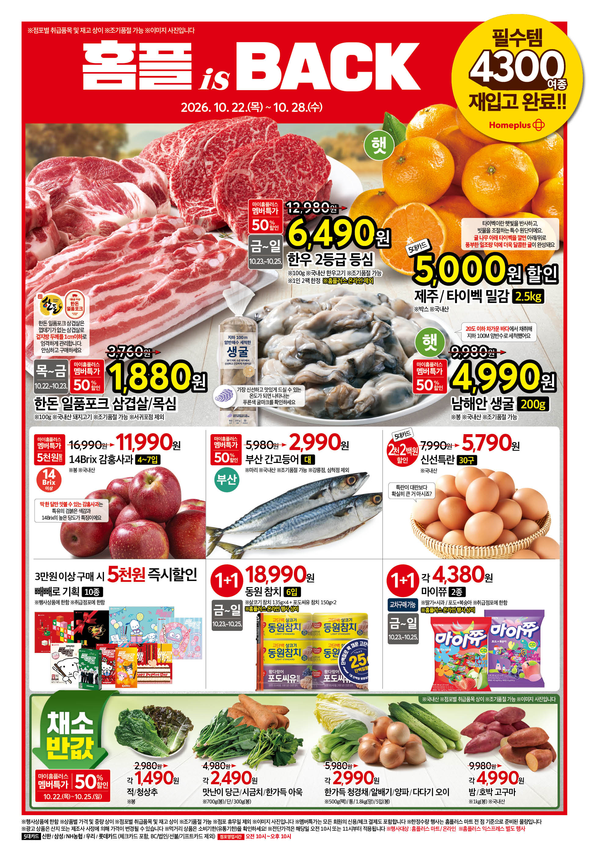 2627_W35 하이퍼전단 1P